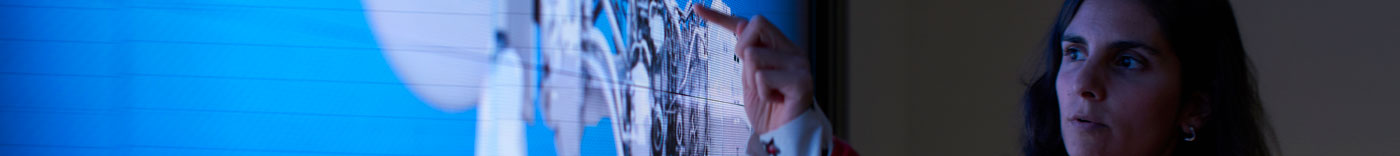 Bild zu Digital Platforms & AI Transformation Analyst